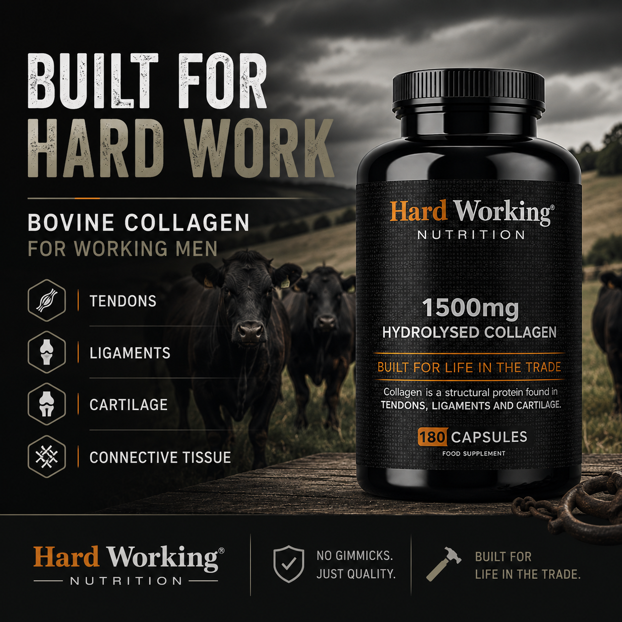Bovine collagen built for hard work